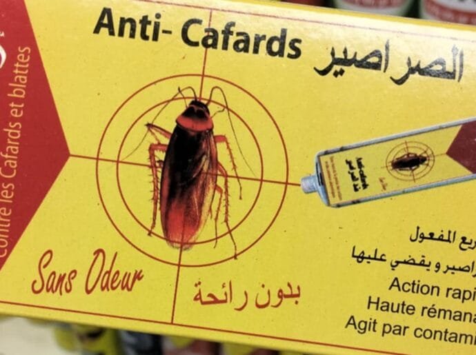 منتج لقتل الصراصير نهائيا